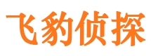 费县外遇调查取证